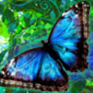 Meet your Posher, Sandy